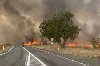 Two-lane road beside a wildfire: bright flames and thick smoke stretch across the field, with a tree near the roadside far ahead.