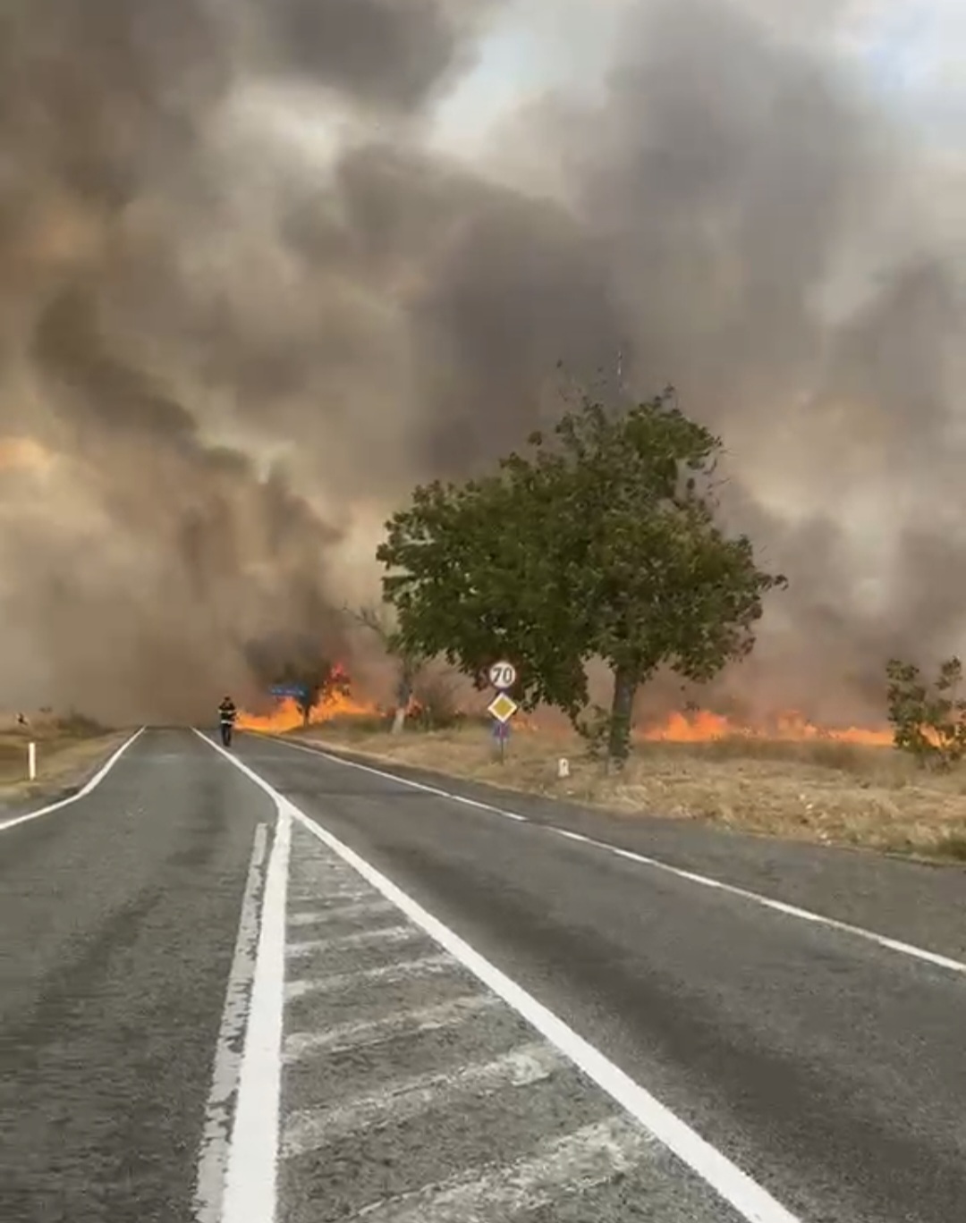 Two-lane road beside a wildfire: bright flames and thick smoke stretch across the field, with a tree near the roadside far ahead.