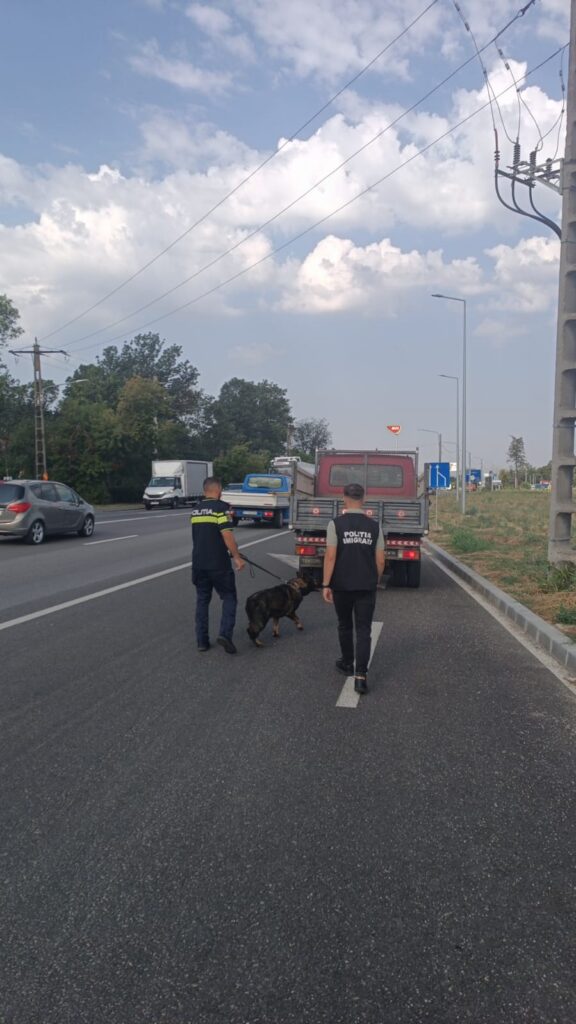 Aeroportul Craiova, verificat într-o acțiune amplă - Jurnalul Olteniei – Știri din Craiova și Oltenia Aeroportul Craiova, verificat într-o acțiune amplă