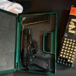 Pistol și 42 de cartușe, găsite în Dolj, la Bârca