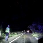 Nighttime road blocked by fallen branches; a worker in a reflective vest stands beside the lane directing traffic.