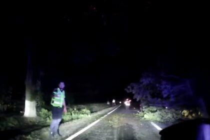 Nighttime road blocked by fallen branches; a worker in a reflective vest stands beside the lane directing traffic.