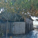 Rundown farm shed with a tin roof, concrete walls, and chain-link fencing in a muddy, shaded yard.