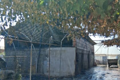 Rundown farm shed with a tin roof, concrete walls, and chain-link fencing in a muddy, shaded yard.