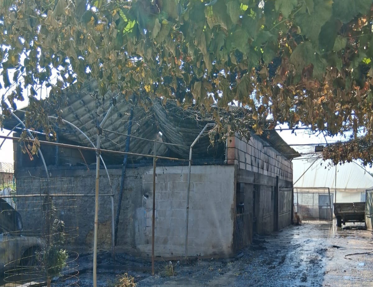 Rundown farm shed with a tin roof, concrete walls, and chain-link fencing in a muddy, shaded yard.