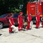 Craiova găzduiește o competiție internațională de salvare canină. Foto facebook