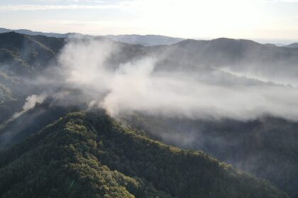 Incendiu de pădure la Băile Olănești: 34 de hectare, afectate