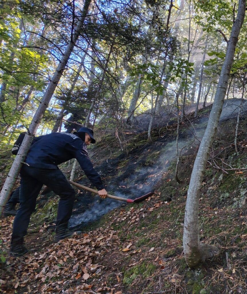 Incendiu de pădure la Băile Olănești: 34 de hectare, afectate - Jurnalul Olteniei – Știri din Craiova și Oltenia Incendiu de pădure la Băile Olănești: 34 de hectare, afectate