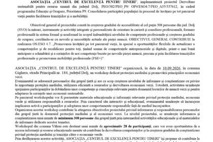 Press release header with EU flag on the left and Romanian government seal on the right, and the title 'COMUNICAT DE PRESĂ'.