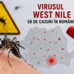 INSP: 58 de cazuri West Nile în România, în acest sezon