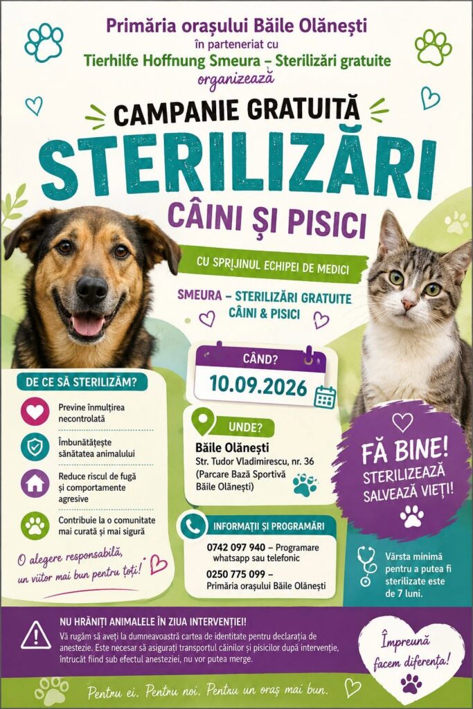 Sterilizare gratuită pentru câini și pisici la Băile Olănești - Jurnalul Olteniei – Știri din Craiova și Oltenia Sterilizare gratuită pentru câini și pisici la Băile Olănești