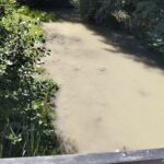 Amendă de 40.000 de lei după poluarea râului Motru