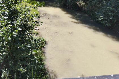 Amendă de 40.000 de lei după poluarea râului Motru