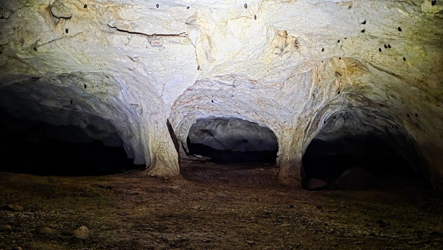 Peștera Liliecilor, locul spectaculos din Buila-Vânturarița - Jurnalul Olteniei – Știri din Craiova și Oltenia Peștera Liliecilor, locul spectaculos din Buila-Vânturarița