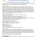 Document: press release header with logos, title in Romanian: 'Comunic... începuterea proiectului' and main heading 'Construire spatii de cazare si servicii de wellness' (informational image).