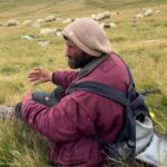 Man in a maroon jacket and knit hat sits in tall grass as a flock of sheep graze on a rolling hillside behind him, in a rural meadow.