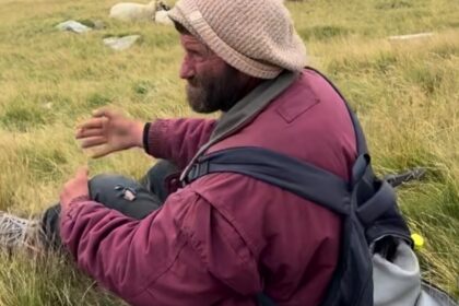 Man in a maroon jacket and knit hat sits in tall grass as a flock of sheep graze on a rolling hillside behind him, in a rural meadow.
