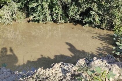 Poluare pe râul Motru, la Apa Neagră.