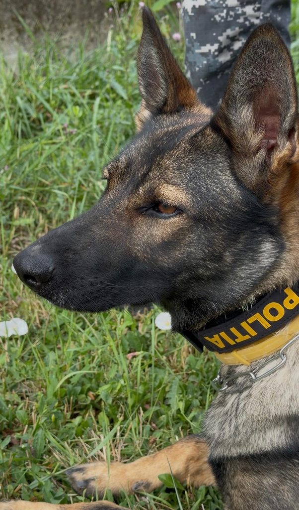 Luna i-a găsit pe cei doi minori dispăruți în Vâlcea - Jurnalul Olteniei – Știri din Craiova și Oltenia Luna i-a găsit pe cei doi minori dispăruți în Vâlcea
