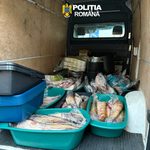 Dubova: Peste 200 kg de pește confiscat de polițiști