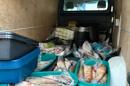 Dubova: Peste 200 kg de pește confiscat de polițiști
