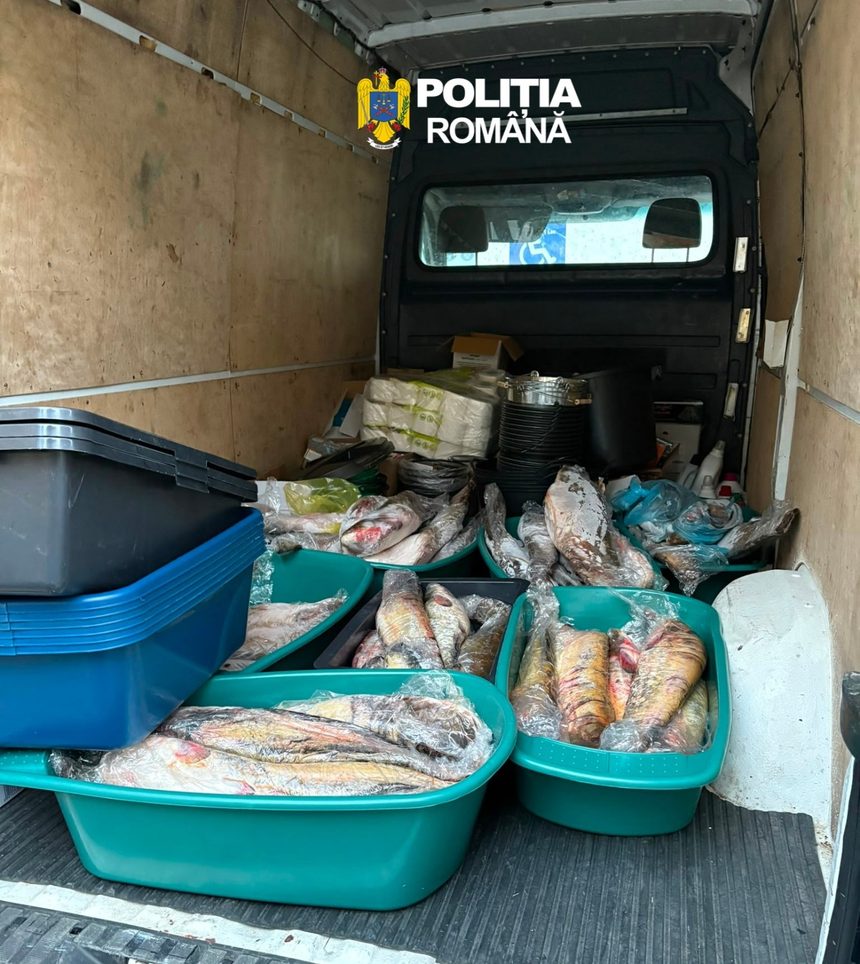 Dubova: Peste 200 kg de pește confiscat de polițiști
