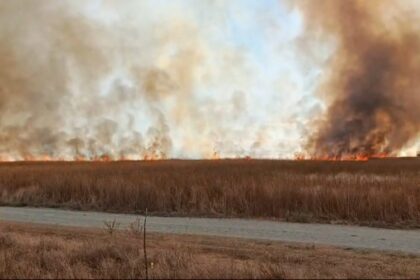 Wildfire burning across a flat field with tall dry grass and smoke rising toward the sky, near a dirt road in the foreground.