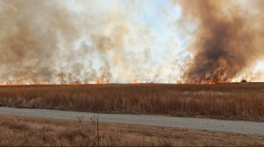 Wildfire burning across a flat field with tall dry grass and smoke rising toward the sky, near a dirt road in the foreground.