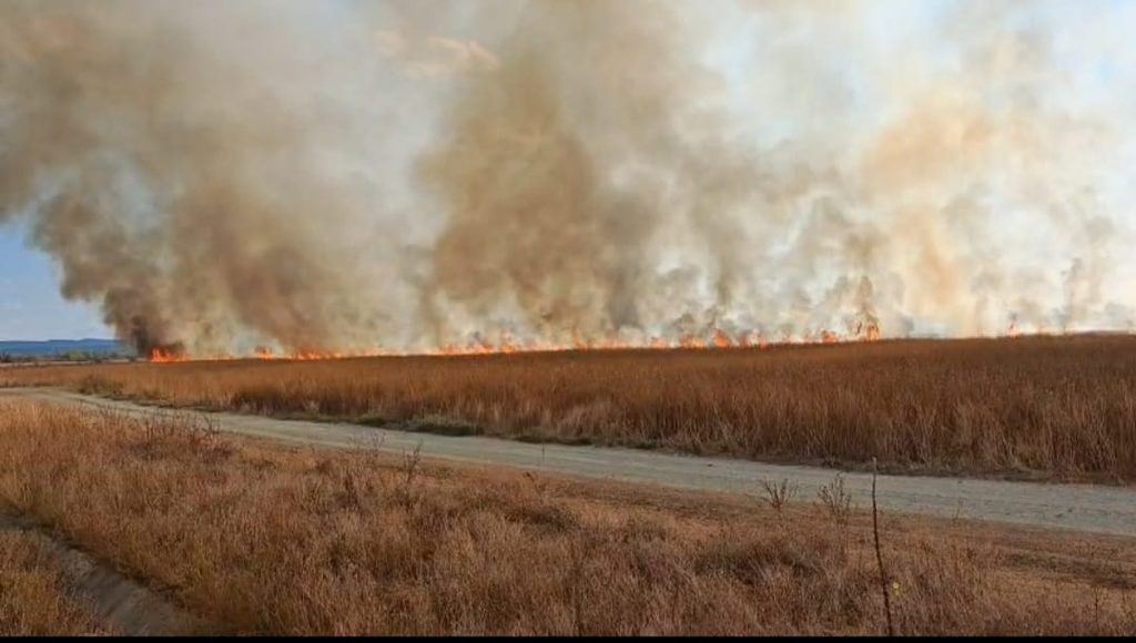 Dry grassland on fire along a distant horizon with huge smoke plume rising; a dirt road runs in the foreground.