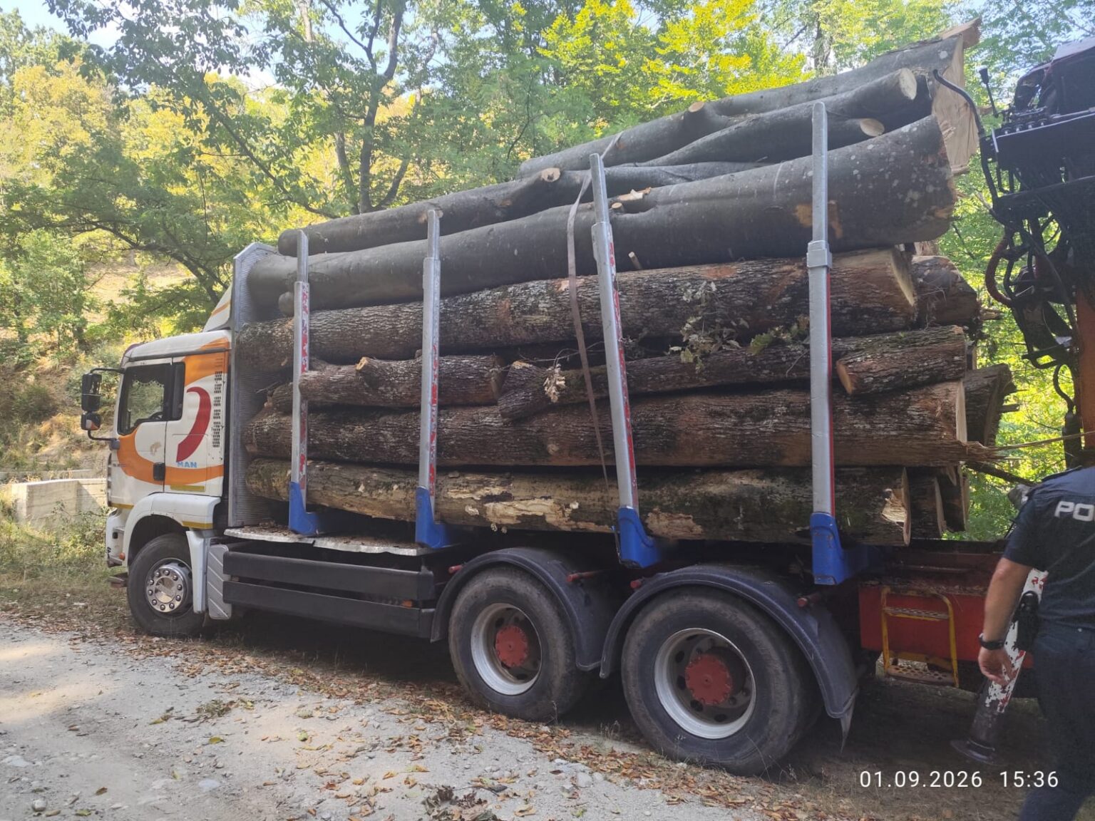 Transport ilegal de lemne în Gorj. Ce au descoperit polițiștii în autoutilitară