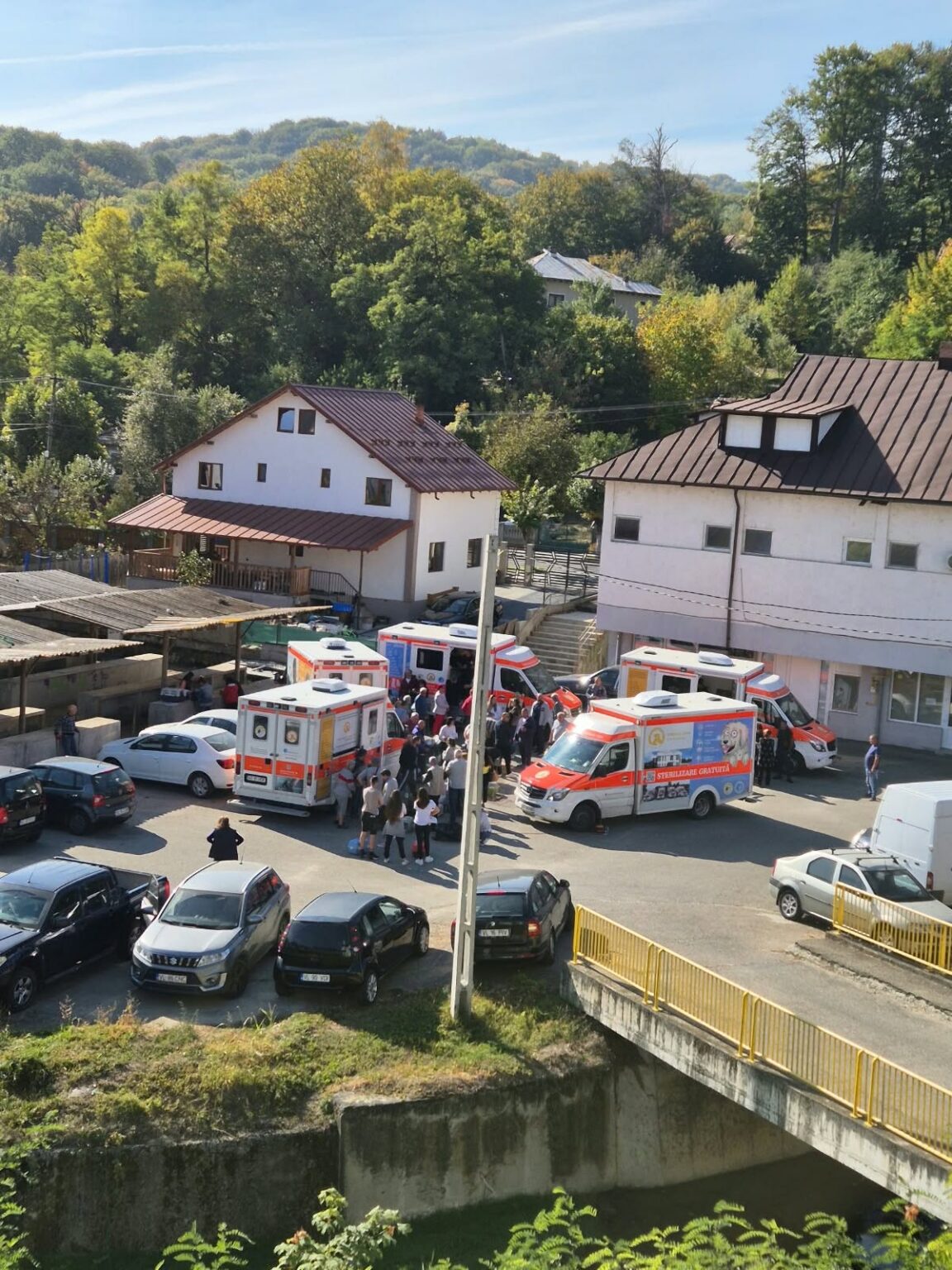 Campanie gratuită de sterilizare la Băile Govora