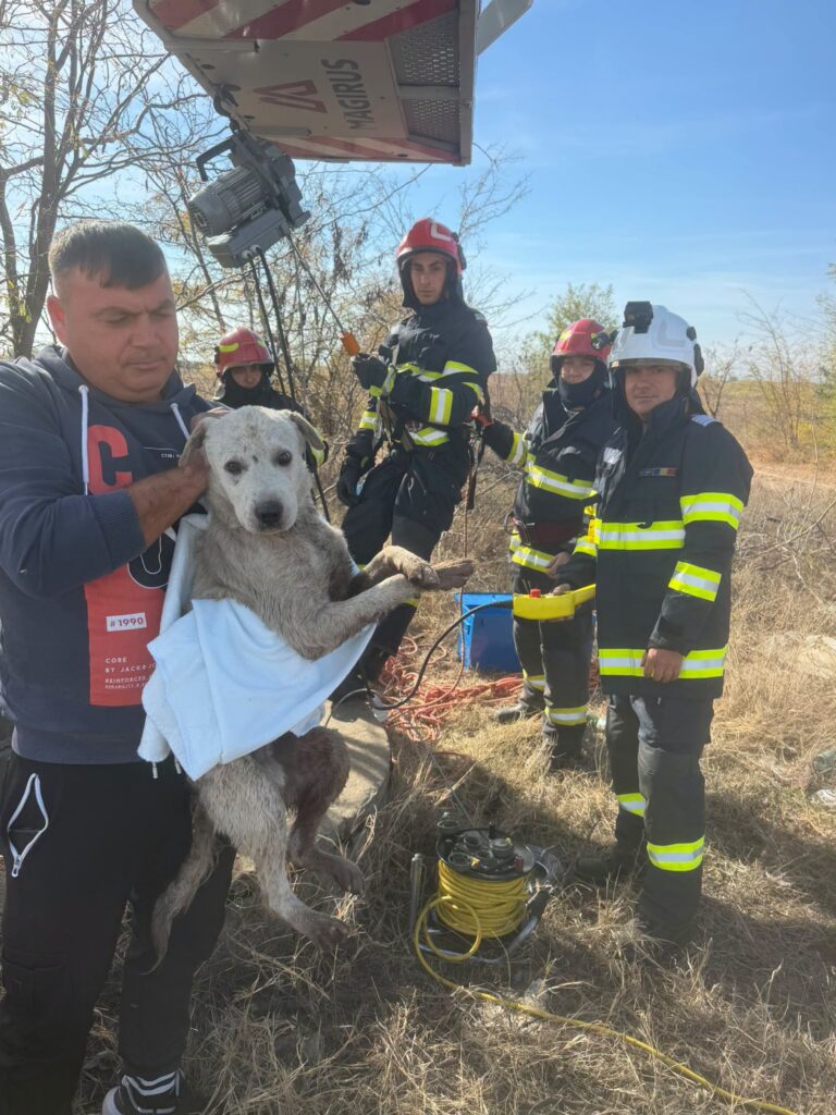 Misiune emoționantă în Dolj: Câine salvat din fântână