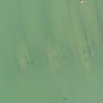 Aerial view of green, murky water with vertical streaks and small dark spots.