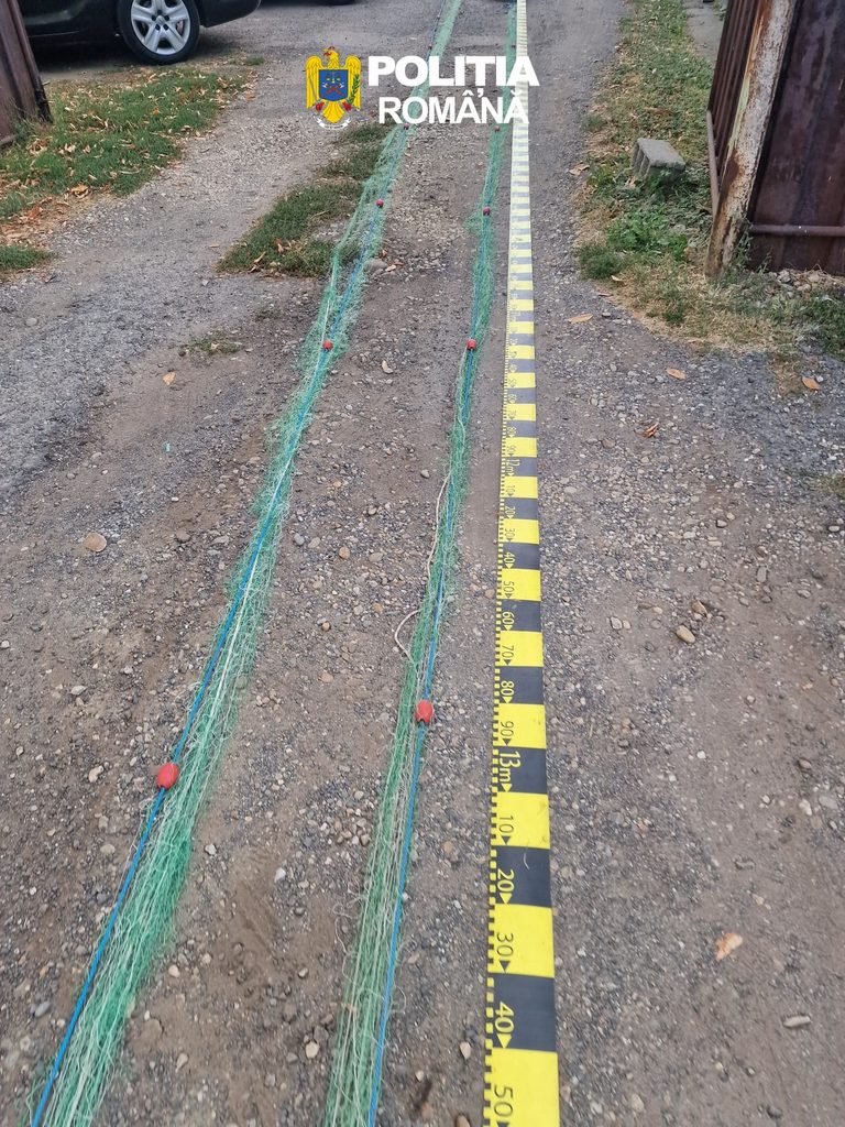 WhatsApp Image 2026-10-01 at 101616 - Jurnalul Olteniei – Știri din Craiova și Oltenia Two parallel green nets with red markers laid along a dirt path beside a yellow measurement tape with numbers nearby.
