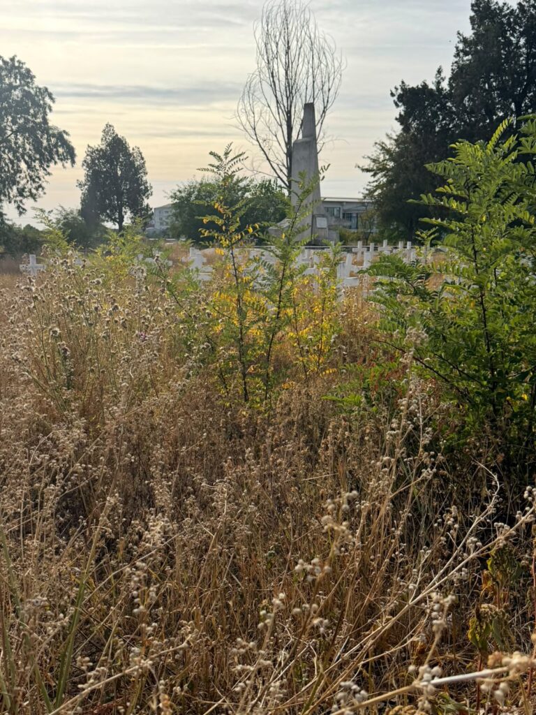 Overgrown field with dry grasses and green shrubs; a distant cemetery with white crosses and a tall obelisk monument under a pale sky.