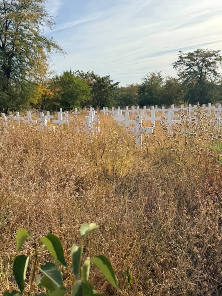 Overgrown field of white gravestones in neat rows under a blue sky and trees in the background.