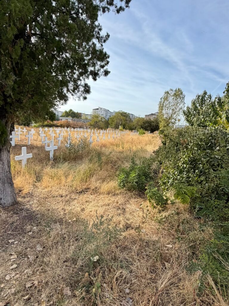 Graveyard with rows of white crosses in a dry grassy field, trees frame the scene and buildings are visible in the distance under a blue sky.