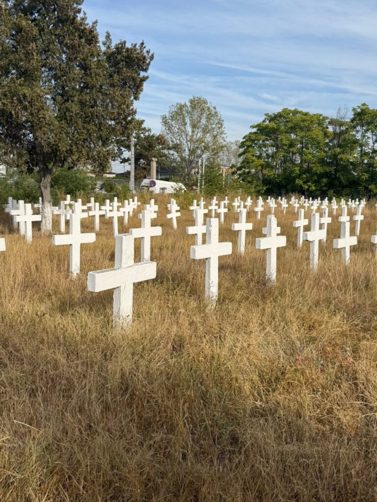 Rows of white crosses in a dry grassy field under a blue sky, forming a memorial cemetery.