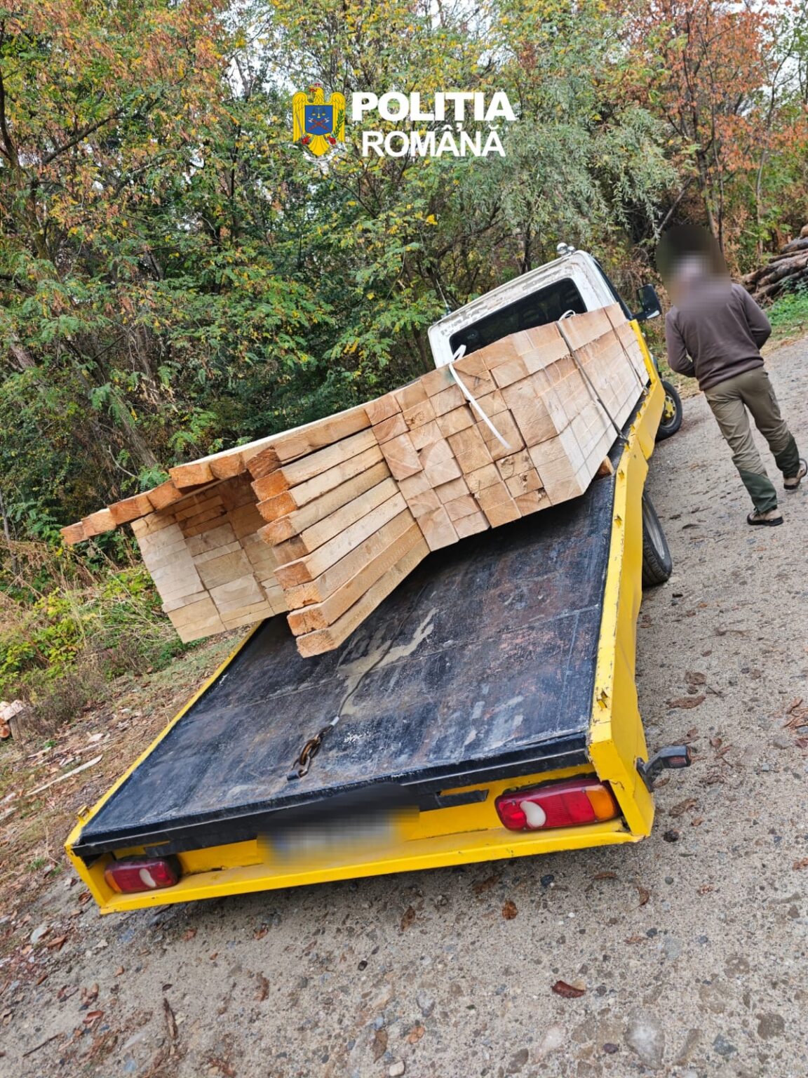 Romanian police crest above a man loading long wooden planks onto a yellow trailer on a forest road.