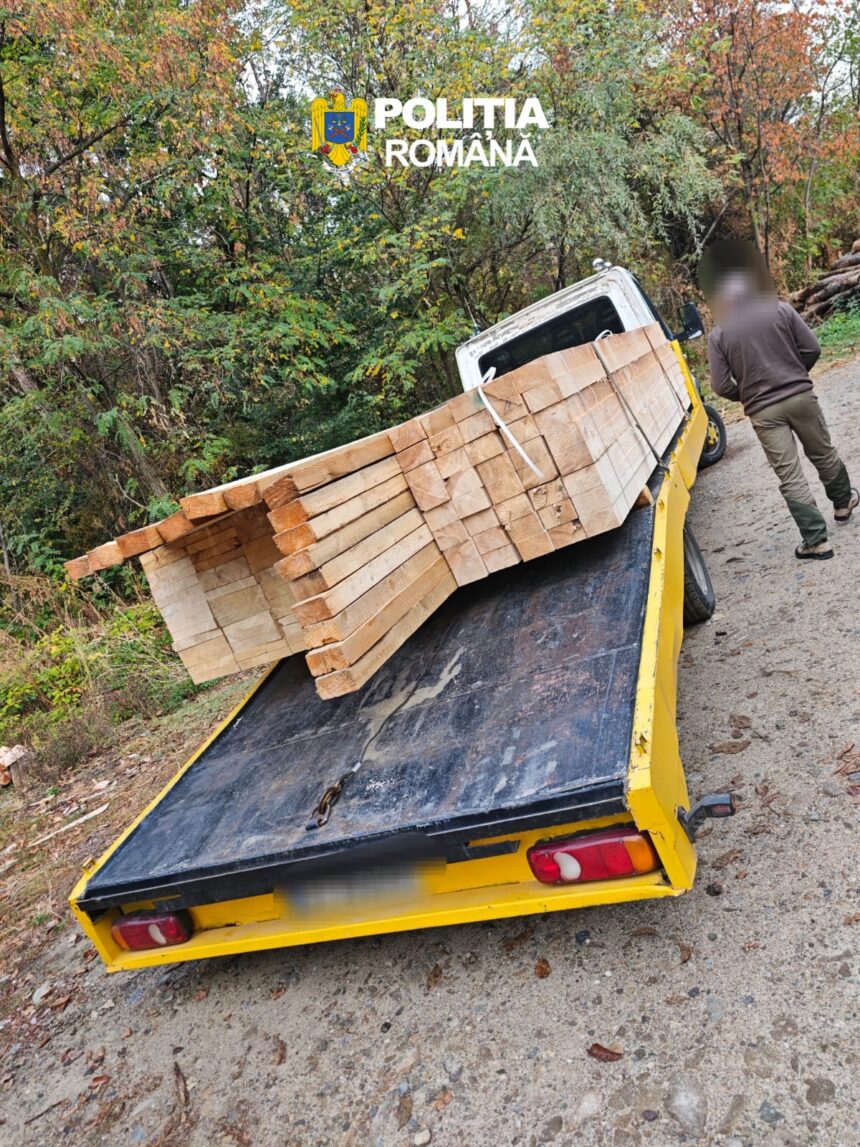 Romanian police crest above a man loading long wooden planks onto a yellow trailer on a forest road.