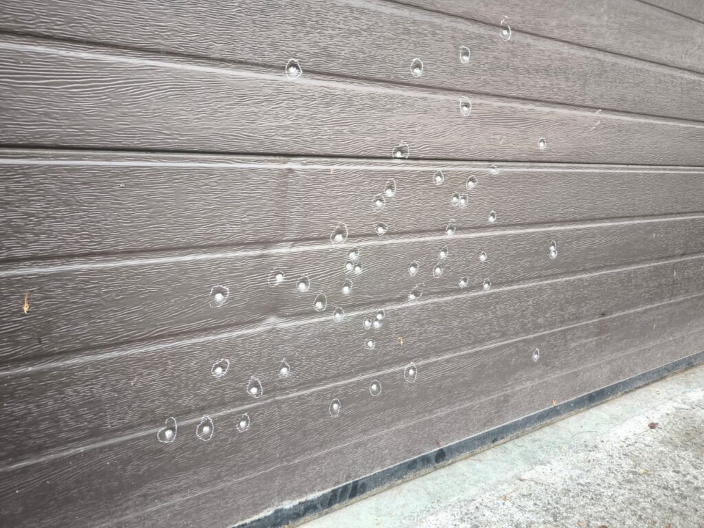 WhatsApp Image 2026-10-22 at 152108 1 - Jurnalul Olteniei – Știri din Craiova și Oltenia Brown wooden wall with many white circular patches around small holes, diagonally clustered across the surface.