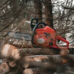 Red chainsaw resting on freshly cut log rounds in a snow-dusted forest setting.