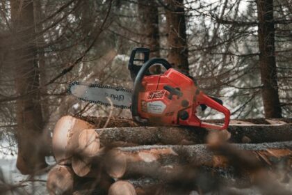 Red chainsaw resting on freshly cut log rounds in a snow-dusted forest setting.