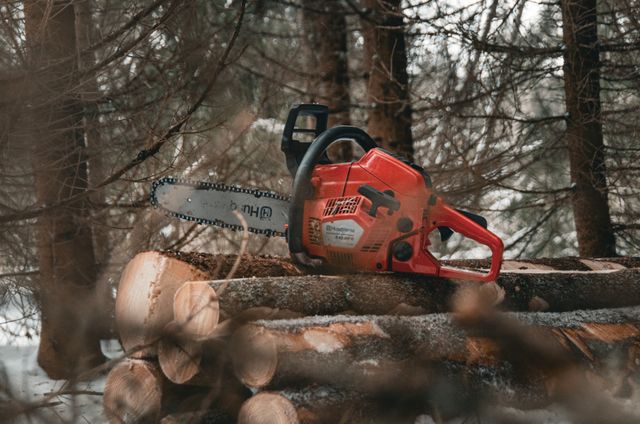 Red chainsaw resting on freshly cut log rounds in a snow-dusted forest setting.